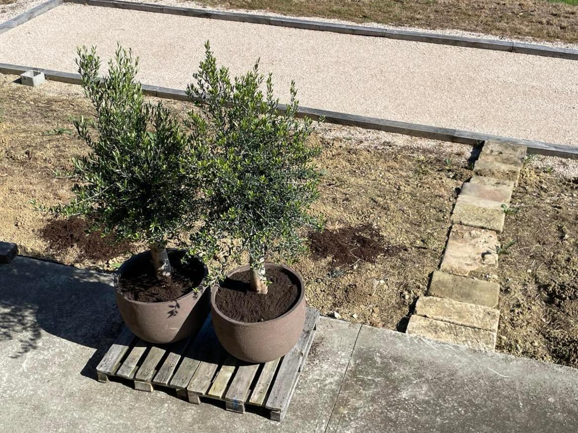 Castelnavet Maison Cabet מראה חיצוני תמונה